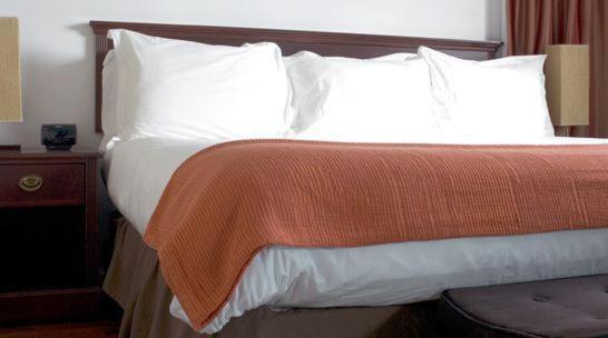 One-Bedroom Suite,783753042:JPEG